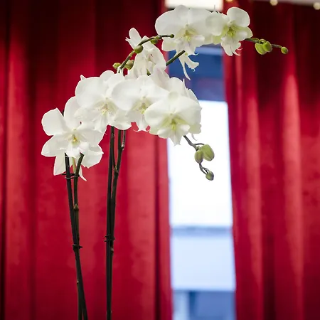 Migny Opera Montmartre Párizs