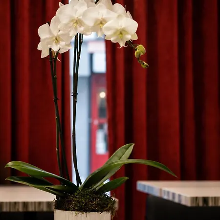 Hotel Migny Opera Montmartre 3*
