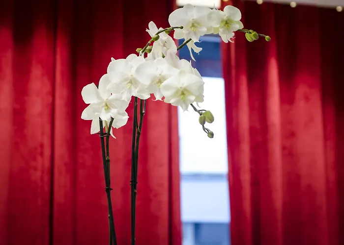 미그니 오페라 몽마르트르 파리